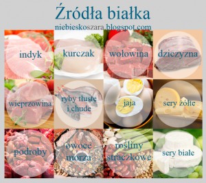 źródła białka